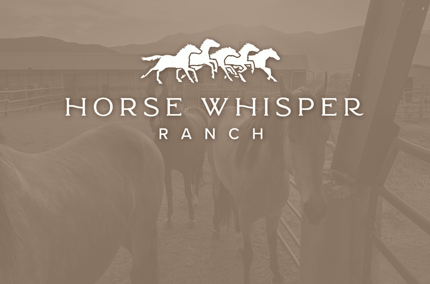 Horse Whisperer Ranch Horse Whisperer Ranch